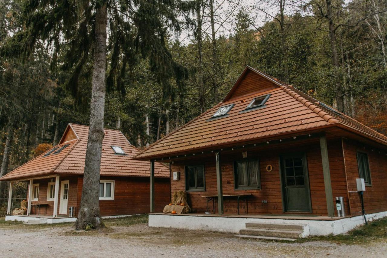 Tusnad Camping バイレ・トゥシュナド エクステリア 写真