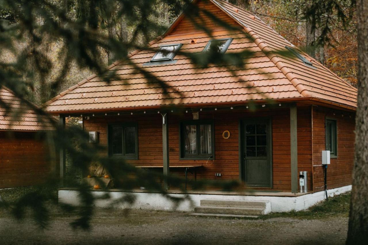 Tusnad Camping バイレ・トゥシュナド エクステリア 写真