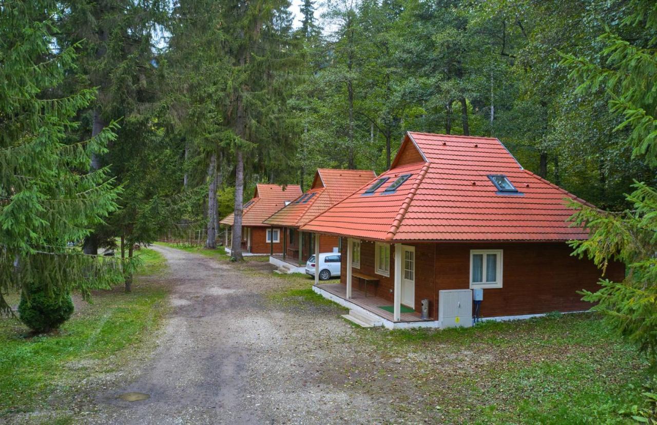 Tusnad Camping バイレ・トゥシュナド エクステリア 写真