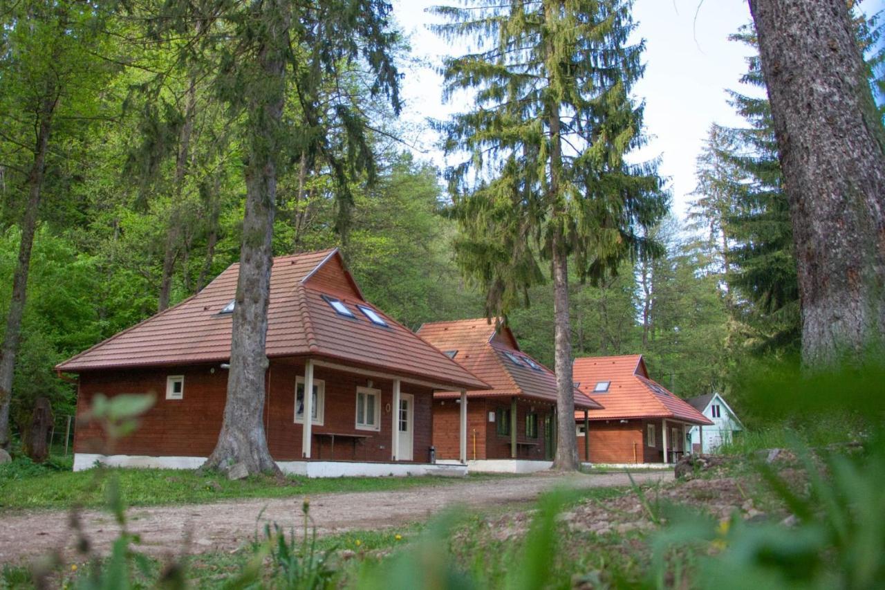 Tusnad Camping バイレ・トゥシュナド エクステリア 写真
